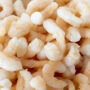 North Atlantic cooked and peeled cold water shrimp